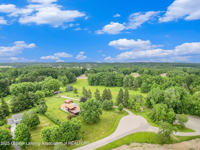203 Branson Bay Dr, Mason, MI 48854 - bird's eye view of a heavily wooded area
