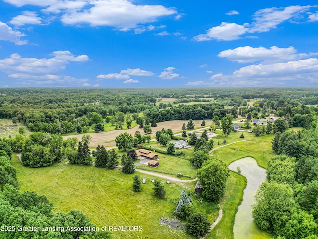 203 Branson Bay Dr, Mason, MI 48854 - drone / aerial view of a forest
