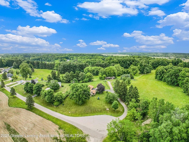 203 Branson Bay Dr, Mason, MI 48854 - aerial view of a forest