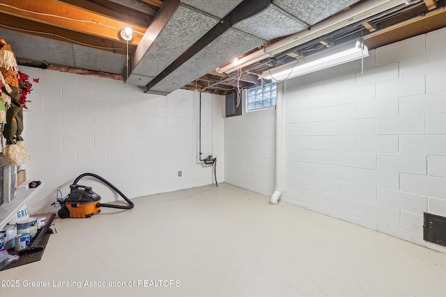 2130 Belding Ct, Okemos, MI 48864 - below grade area with concrete block wall