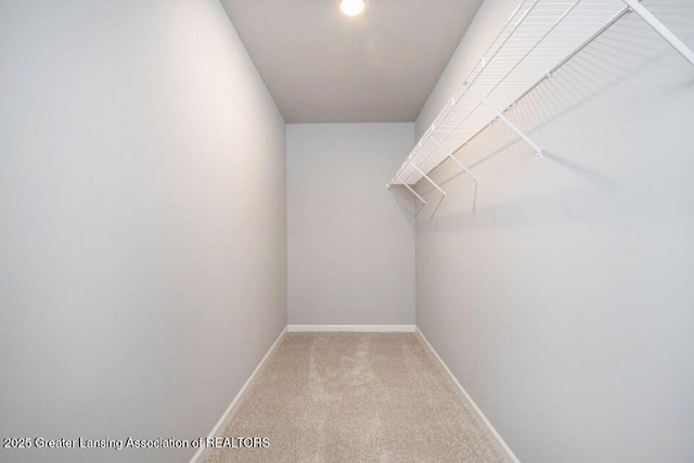 2905 Moccasin Dr, Dewitt, MI 48820 - walk in closet with carpet flooring