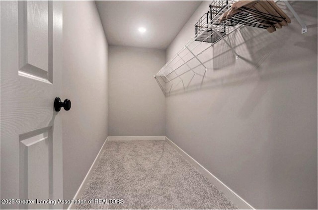 2905 Moccasin Dr, Dewitt, MI 48820 - spacious closet featuring carpet floors