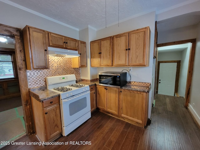 1201 Climax St, Lansing, MI 48912 - kitchen featuring white gas stove, stainless steel microwave, under cabinet range hood, dark wood-style flooring, and backsplash