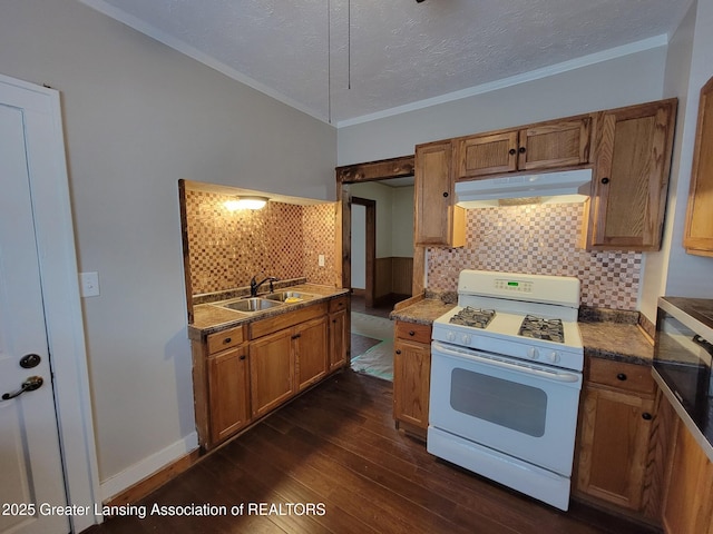 1201 Climax St, Lansing, MI 48912 - kitchen featuring white range with gas stovetop, under cabinet range hood, brown cabinetry, dark wood-type flooring, and decorative backsplash