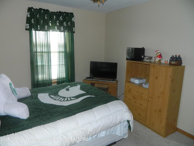202 Broadway Rd, Houghton Lake, MI 48629 - view of carpeted bedroom