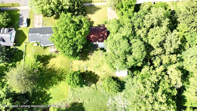 1815 Hamilton Rd, Okemos, MI 48864 - photo 26