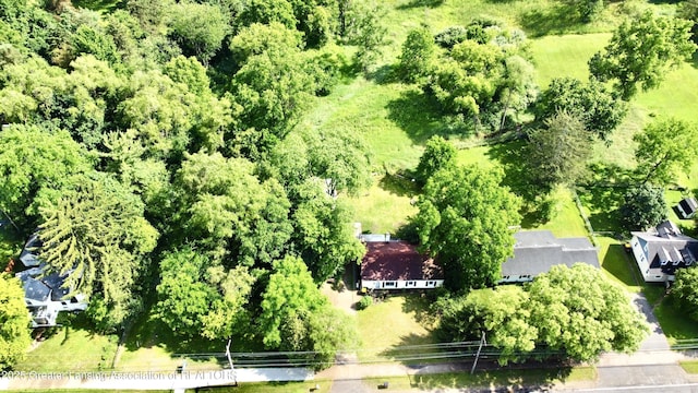 1815 Hamilton Rd, Okemos, MI 48864 - photo 28