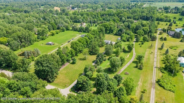 8246 Rossman Hwy, Dimondale, MI 48821 - photo 8