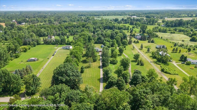 8246 Rossman Hwy, Dimondale, MI 48821 - photo 12