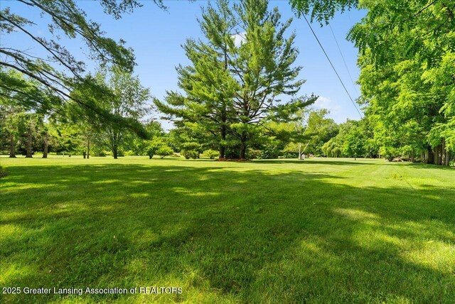 8246 Rossman Hwy, Dimondale, MI 48821 - photo 46