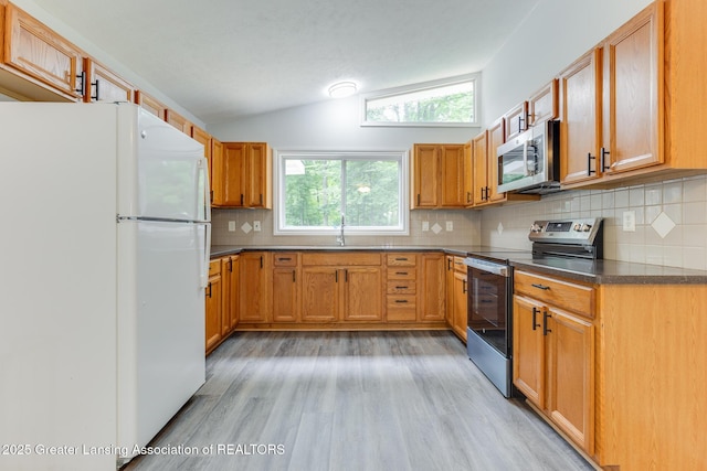 9481 S Clinton Trl, Eaton Rapids, MI 48827 - kitchen with stainless steel appliances, light wood-type flooring, lofted ceiling, dark countertops, and plenty of natural light