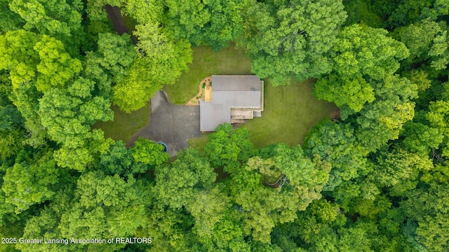 9481 S Clinton Trl, Eaton Rapids, MI 48827 - aerial view of property's location