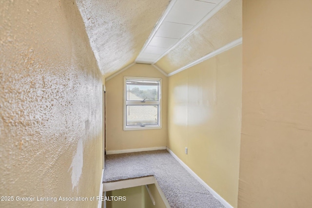 209 N Bowen St, Jackson, MI 49202 - additional living space with lofted ceiling and carpet