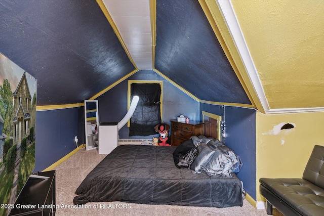209 N Bowen St, Jackson, MI 49202 - bedroom with carpet flooring and lofted ceiling