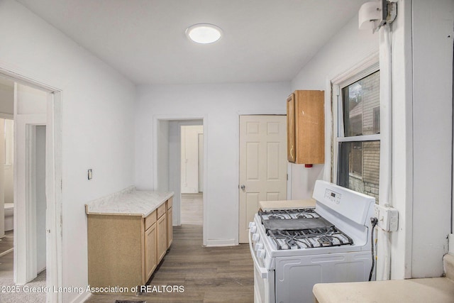 147 Isbell St, Lansing, MI 48910 - kitchen with gas range gas stove, dark wood-style floors, and light countertops