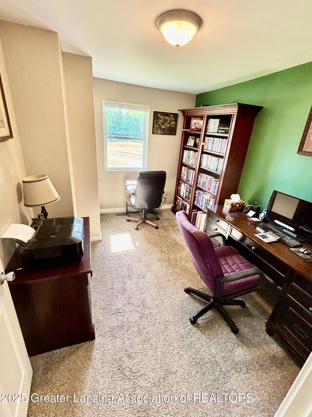 6474 Monroe Rd, Olivet, MI 49076 - photo 15