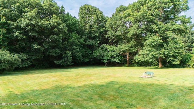 62 W Sherwood Rd, Okemos, MI 48864 - view of green lawn