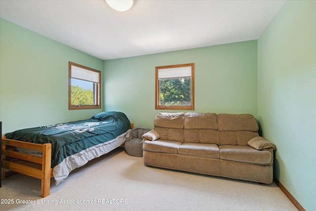 4084 Hulett Rd, Okemos, MI 48864 - bedroom with carpet floors
