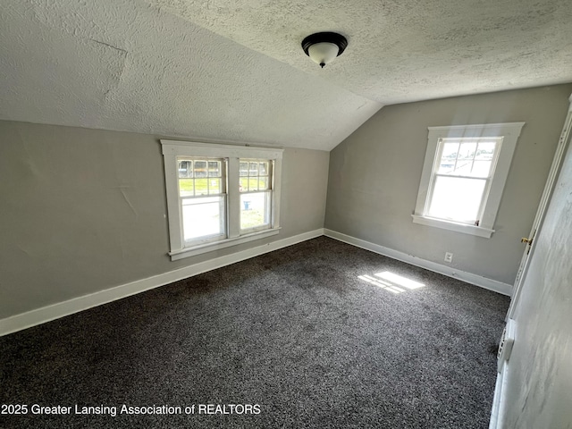 1017 W Oakland Ave, Lansing, MI 48915 - bonus room with a textured ceiling, healthy amount of natural light, vaulted ceiling, and dark colored carpet