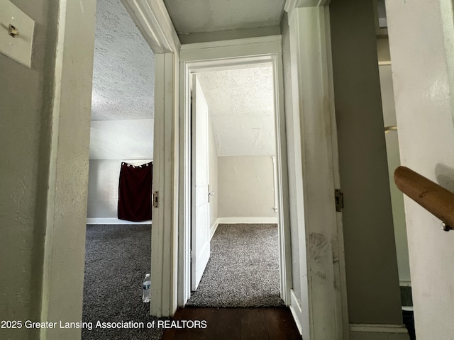 1017 W Oakland Ave, Lansing, MI 48915 - corridor featuring dark wood finished floors and a textured ceiling