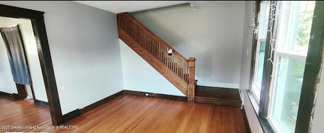 1017 W Oakland Ave, Lansing, MI 48915 - stairway with plenty of natural light and wood finished floors