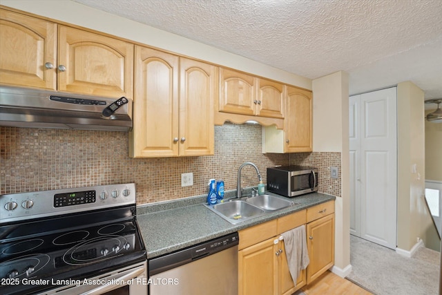 4111 Bridgeport Dr, Lansing, MI 48911 - photo 10