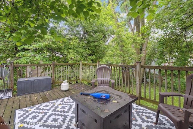 4111 Bridgeport Dr, Lansing, MI 48911 - photo 39