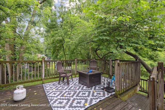4111 Bridgeport Dr, Lansing, MI 48911 - photo 41