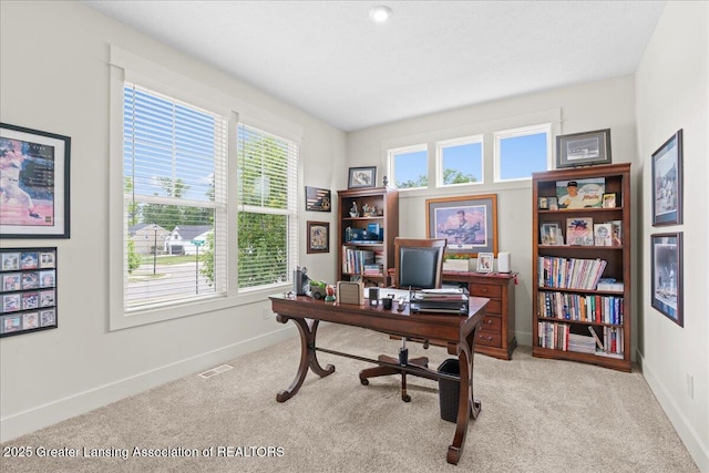 11167 Windswept Dr, Grand Ledge, MI 48837 - office space with light carpet