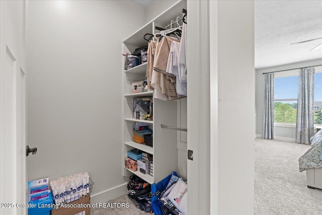 11167 Windswept Dr, Grand Ledge, MI 48837 - spacious closet featuring carpet floors