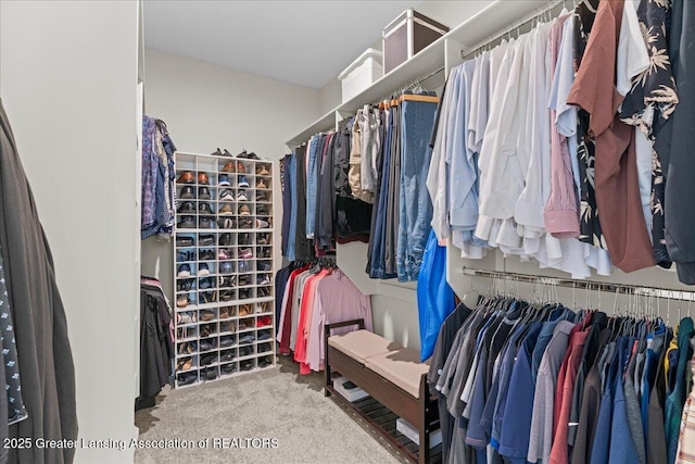 11167 Windswept Dr, Grand Ledge, MI 48837 - walk in closet with carpet