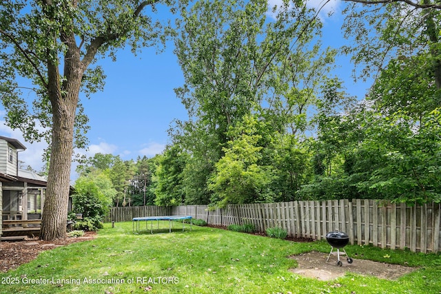 1614 N Eifert Rd, Holt, MI 48842 - fenced backyard with a trampoline and a sunroom