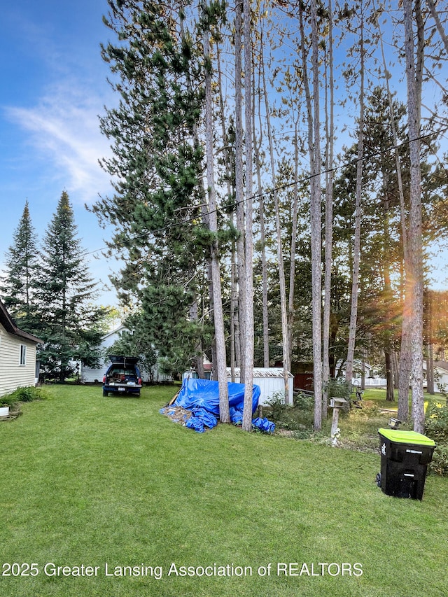 103 Norway Rd, Roscommon, MI 48653 - view of green lawn