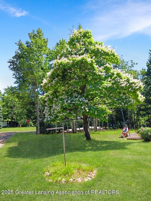 103 Norway Rd, Roscommon, MI 48653 - view of grassy yard