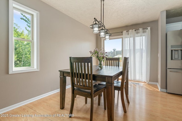 774 Tims View St, Potterville, MI 48876 - dining area with light wood-style floors, plenty of natural light, and a textured ceiling