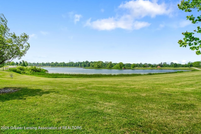 774 Tims View St, Potterville, MI 48876 - water view