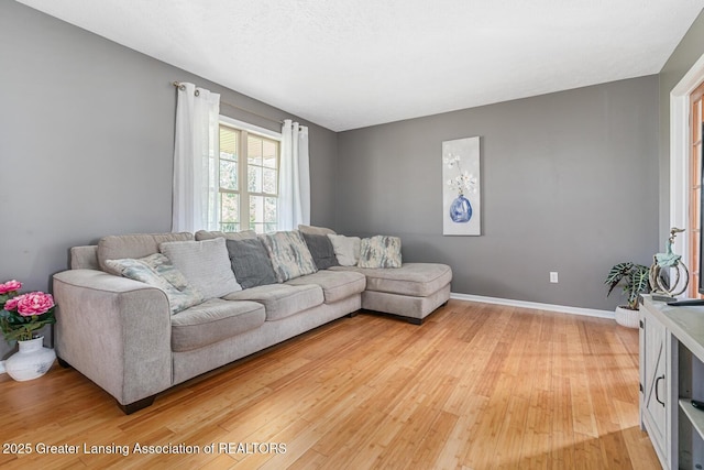 774 Tims View St, Potterville, MI 48876 - living area featuring light wood finished floors and baseboards