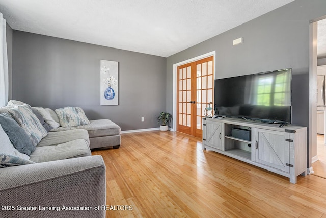 774 Tims View St, Potterville, MI 48876 - living room with light wood finished floors and french doors