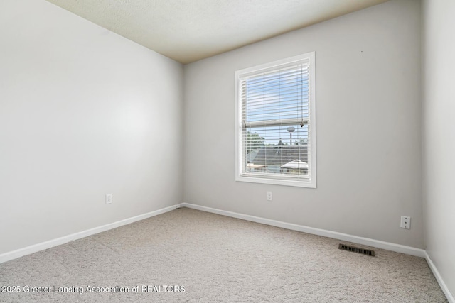 774 Tims View St, Potterville, MI 48876 - unfurnished room featuring carpet