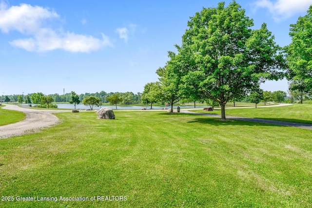 774 Tims View St, Potterville, MI 48876 - view of home's community with a water view and a lawn