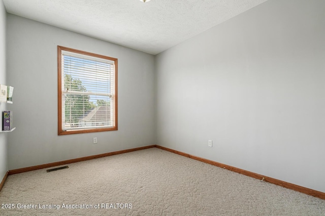 774 Tims View St, Potterville, MI 48876 - unfurnished room featuring carpet floors and a textured ceiling