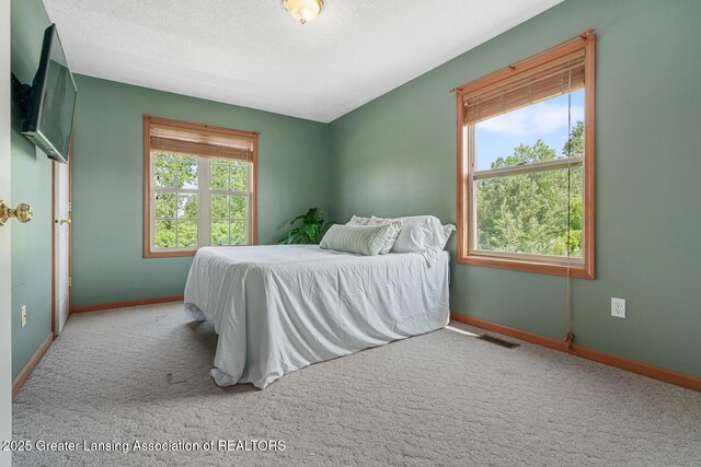 774 Tims View St, Potterville, MI 48876 - carpeted bedroom featuring baseboards and a textured ceiling