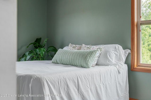 774 Tims View St, Potterville, MI 48876 - view of bedroom