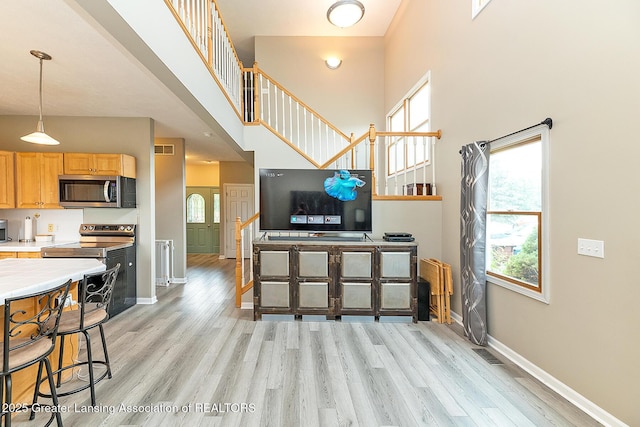 13689 Oneida Rd, Grand Ledge, MI 48837 - kitchen with stainless steel appliances, a towering ceiling, light wood-type flooring, light countertops, and hanging light fixtures