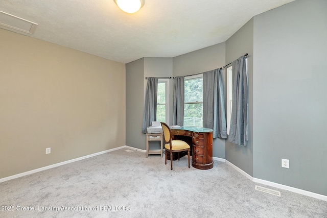 13689 Oneida Rd, Grand Ledge, MI 48837 - office with carpet flooring and baseboards