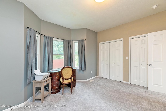 13689 Oneida Rd, Grand Ledge, MI 48837 - office area featuring carpet and baseboards
