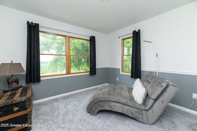 13689 Oneida Rd, Grand Ledge, MI 48837 - living area featuring carpet floors and baseboards