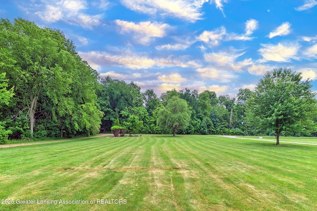 13689 Oneida Rd, Grand Ledge, MI 48837 - view of grassy yard featuring view of wooded area