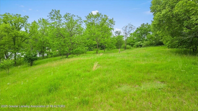 0 W Curtice Rd, Eaton Rapids, MI 48827
