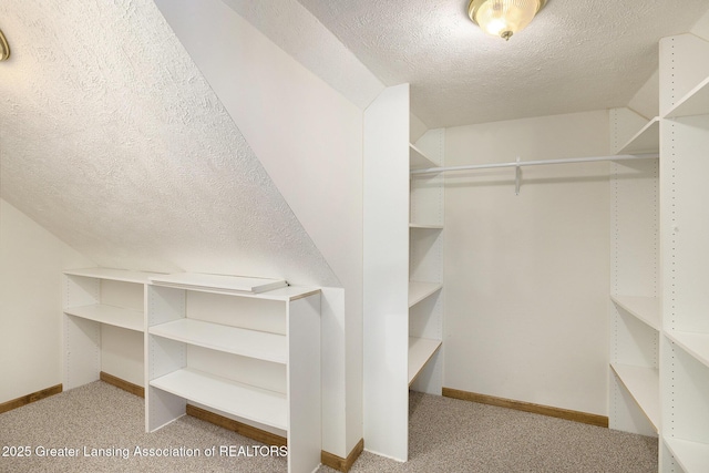 1346 Dennison Rd, East Lansing, MI 48823 - photo 24